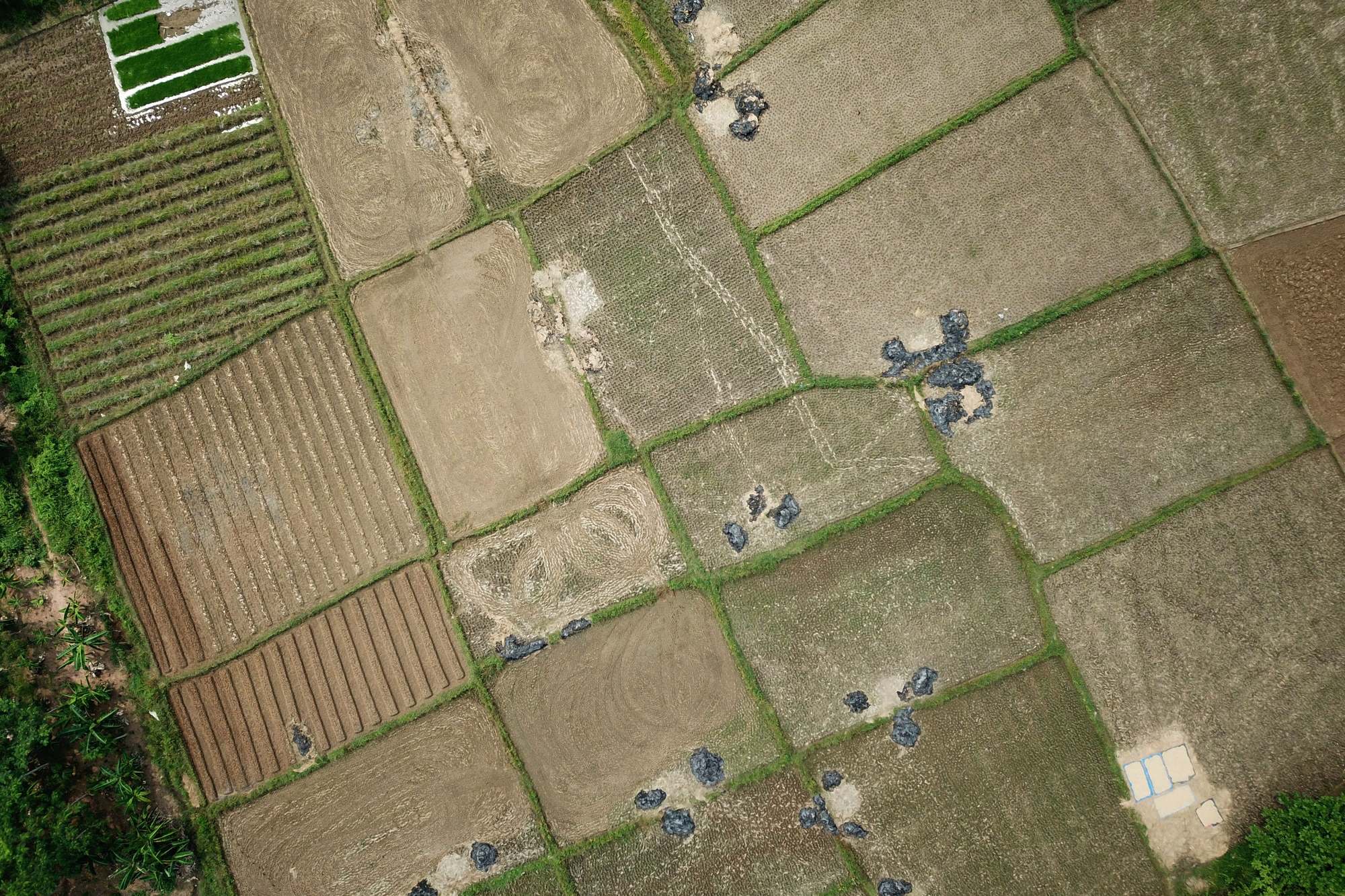 Every programme outcome begins with individual farms.