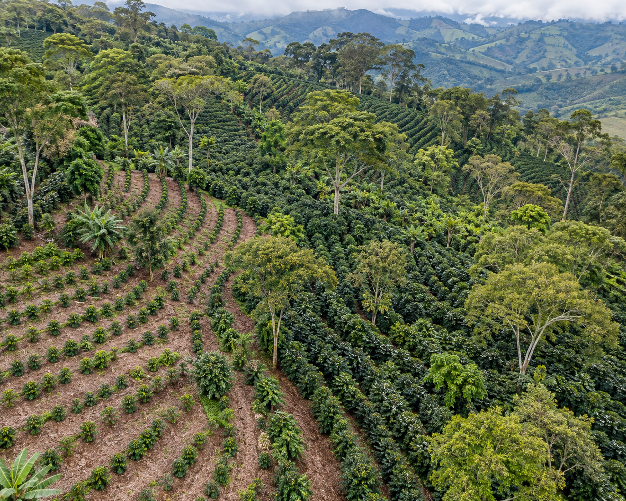 Sustainability evidence starts with observable activity in the field.
