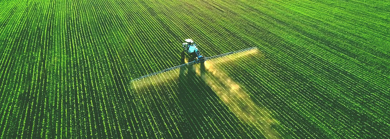A tractor spraying rows of young crops across a wide green field, seen from above