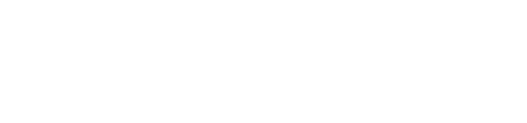 Wingsure